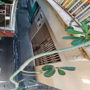 Ảnh nhà