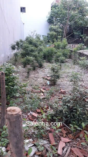 Ảnh nhà