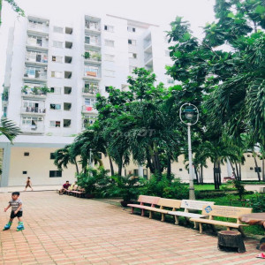 Ảnh nhà