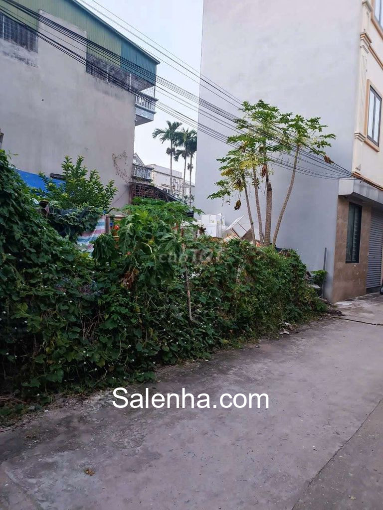 Ảnh nhà