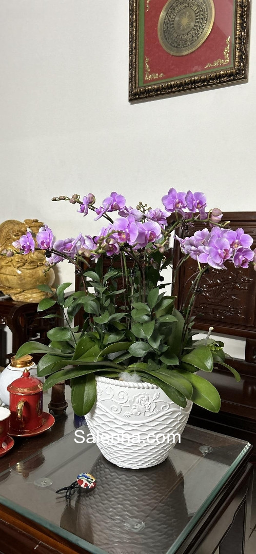 Ảnh nhà