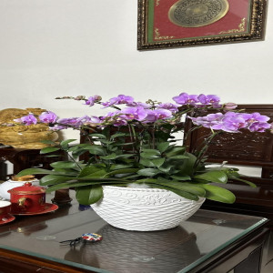 Ảnh nhà