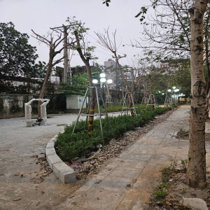 Ảnh nhà