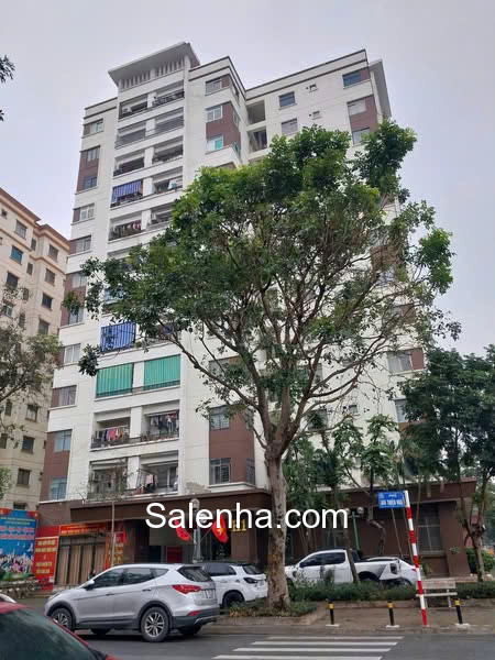 Ảnh nhà