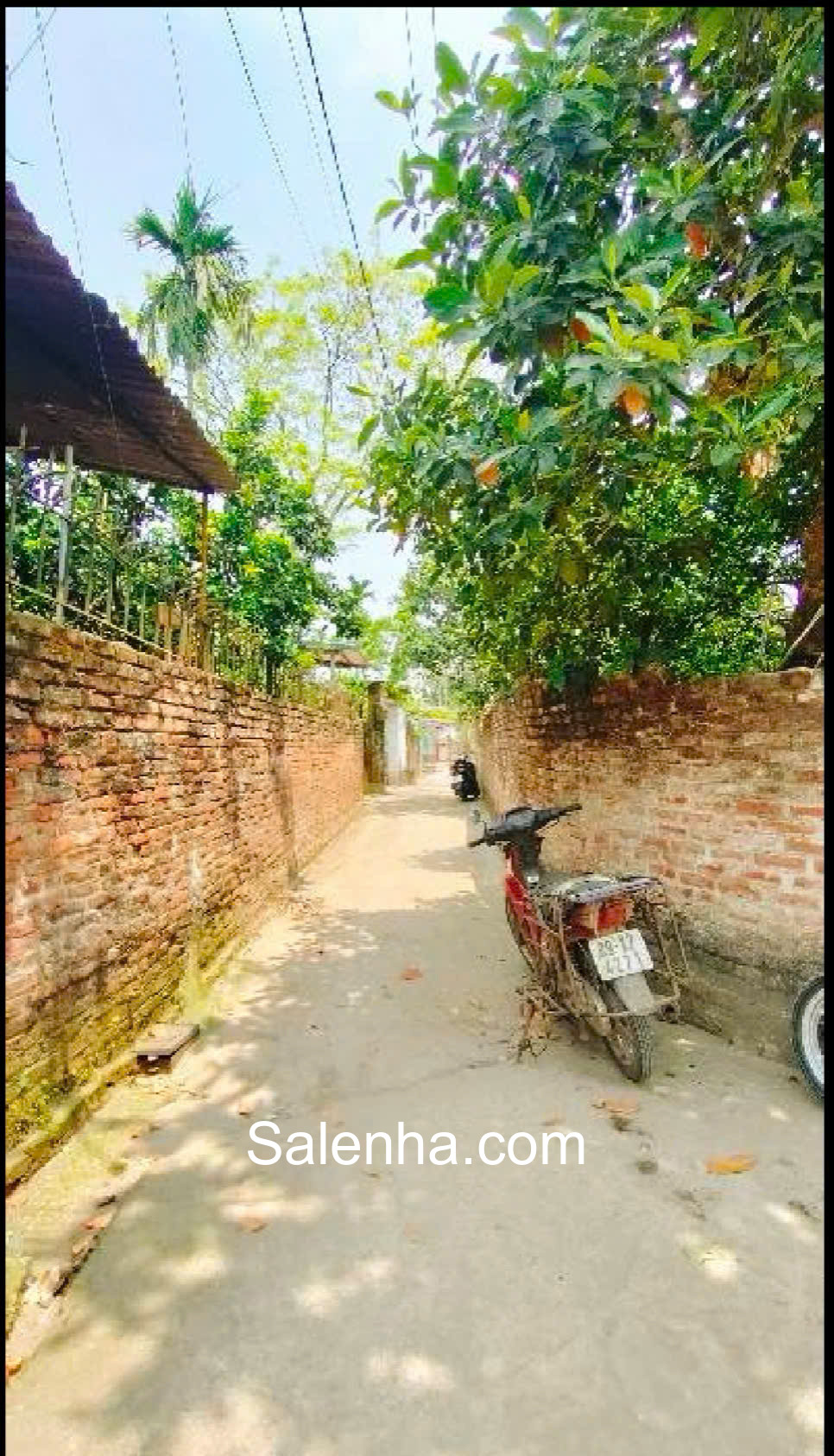 Ảnh nhà