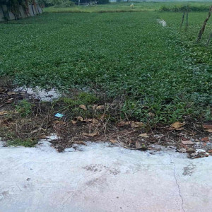 Ảnh nhà