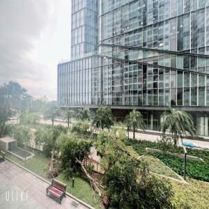 Ảnh nhà