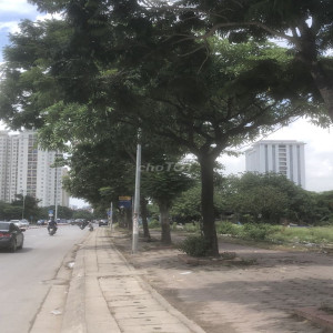 Ảnh nhà