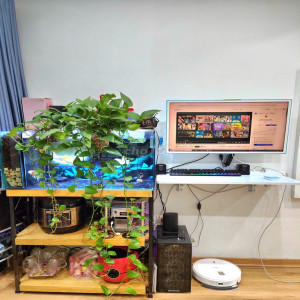Ảnh nhà