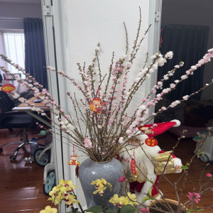Ảnh nhà