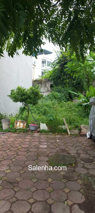 Ảnh nhà