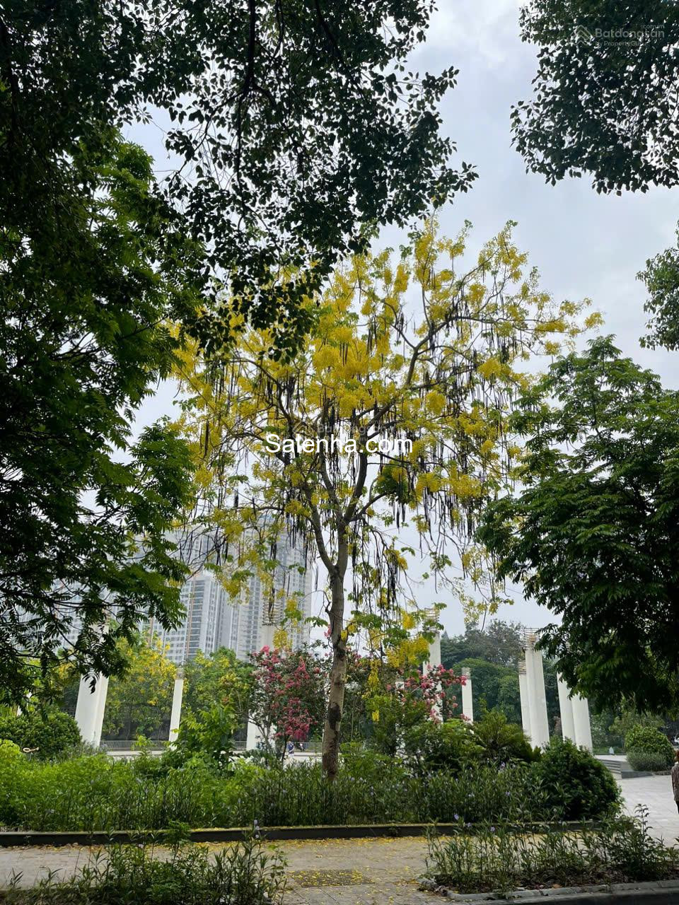 Ảnh nhà