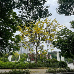 Ảnh nhà