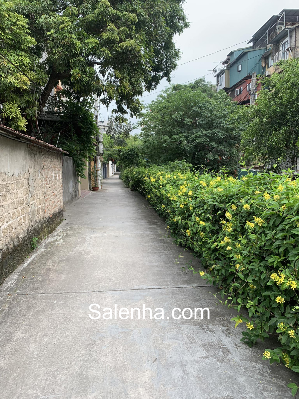Ảnh nhà