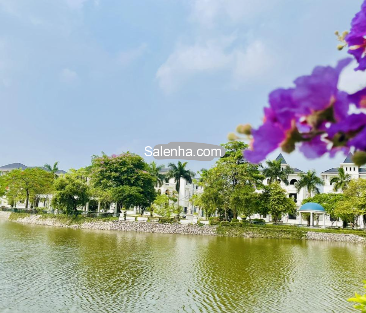 Ảnh nhà