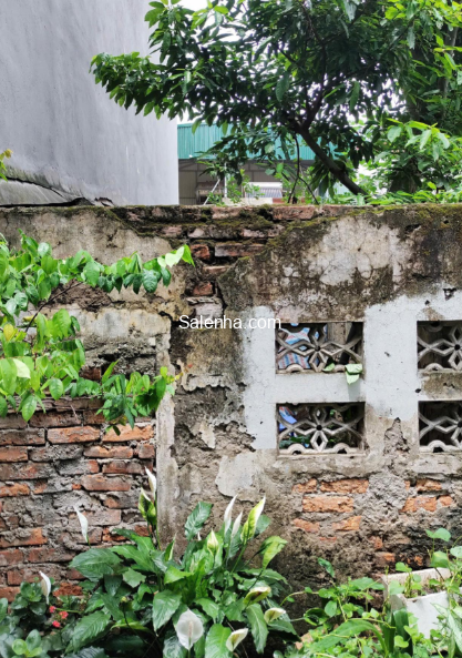 Ảnh nhà