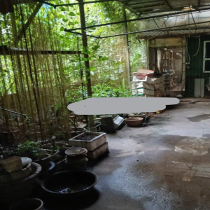 Ảnh nhà