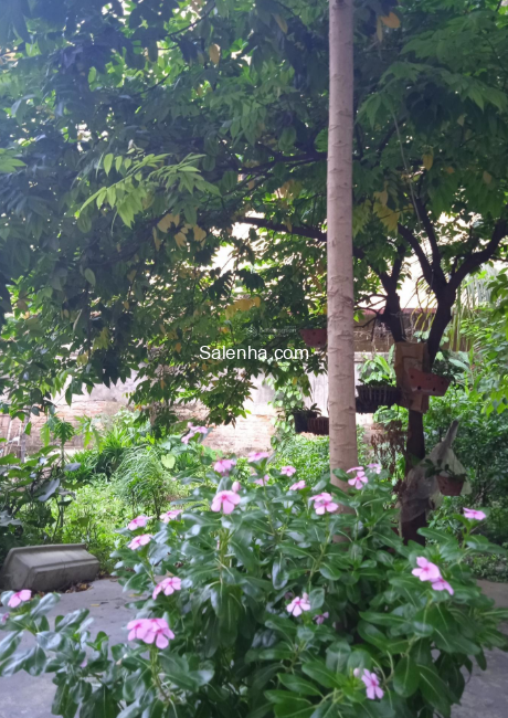 Ảnh nhà