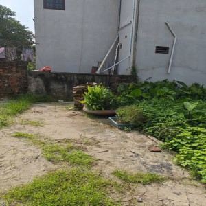 Ảnh nhà
