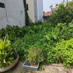 Ảnh nhà