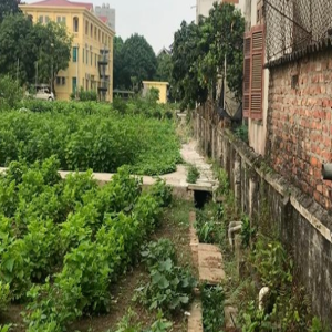 Ảnh nhà