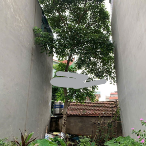 Ảnh nhà