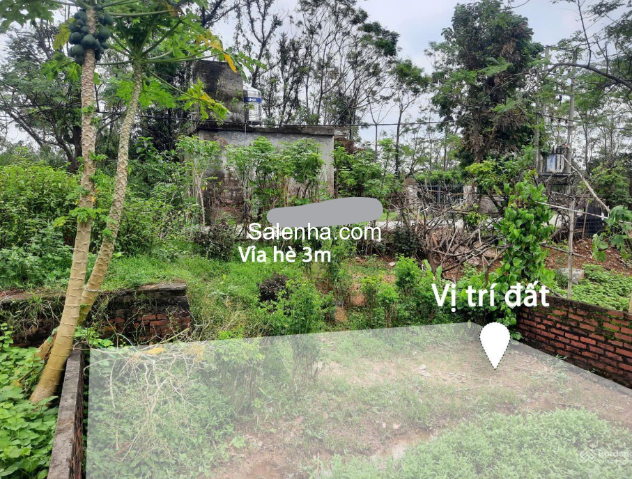 Ảnh nhà