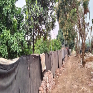 Ảnh nhà