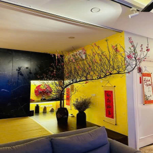 Ảnh nhà