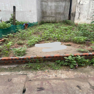 Ảnh nhà