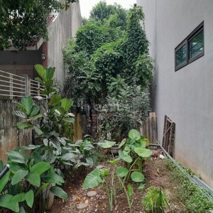 Ảnh nhà