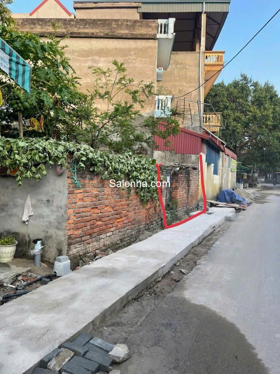 Ảnh nhà