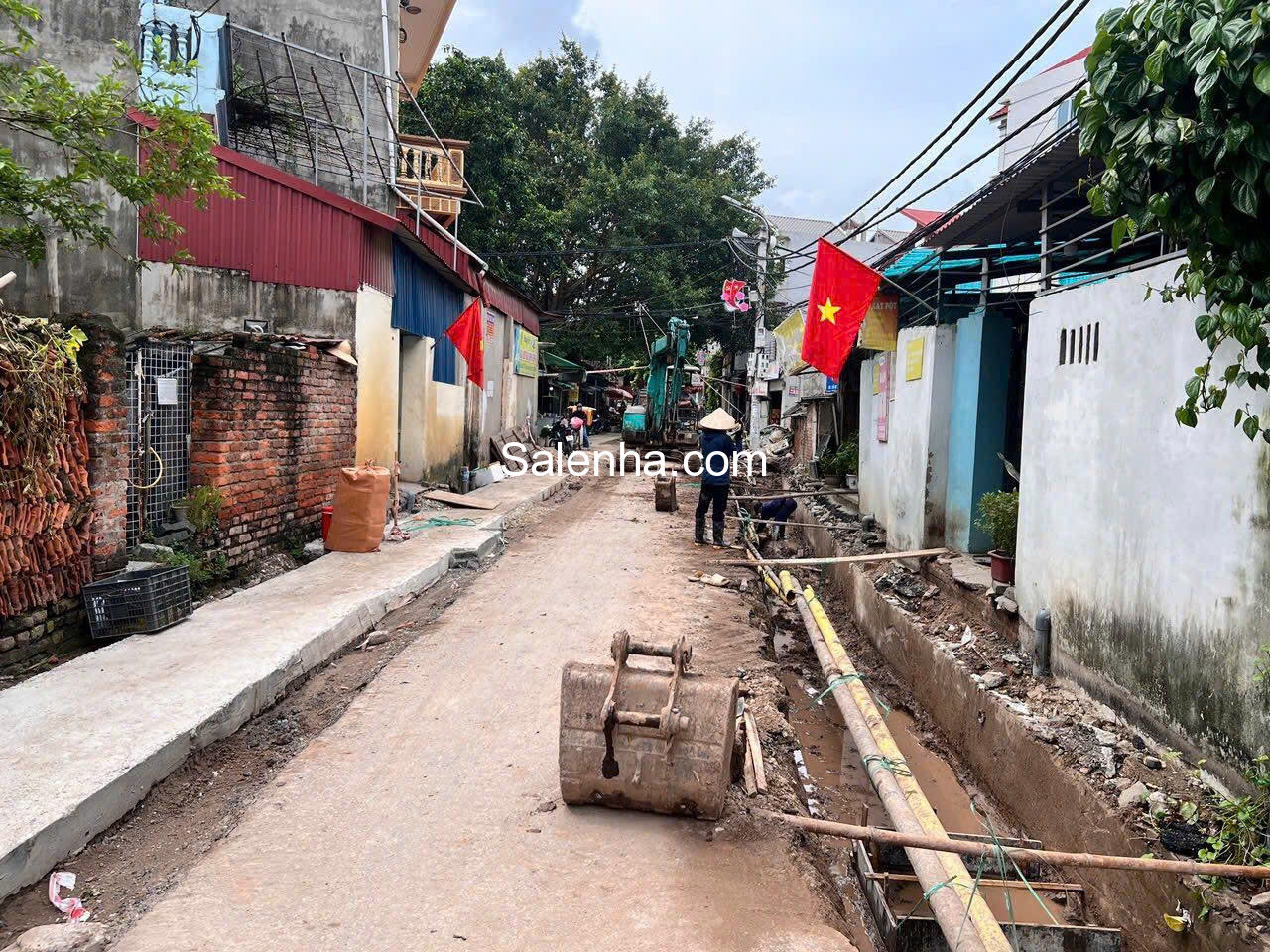 Ảnh nhà