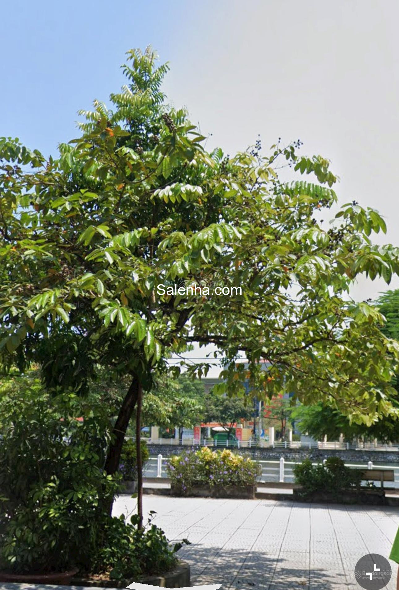 Ảnh nhà