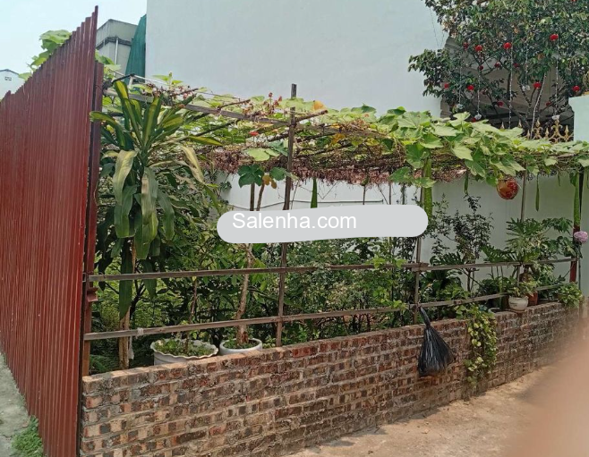 Ảnh nhà