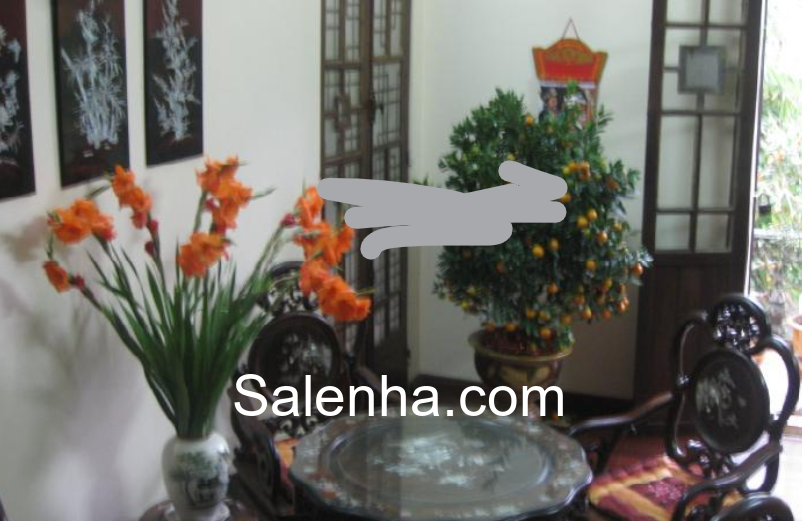 Ảnh nhà