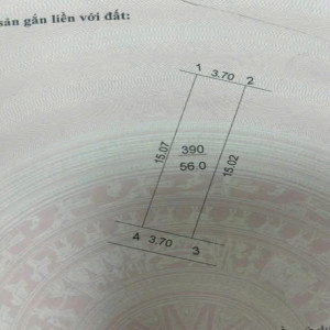 Ảnh nhà