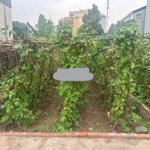 Ảnh nhà