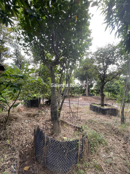Ảnh nhà