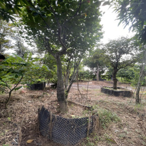Ảnh nhà