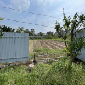 Ảnh nhà
