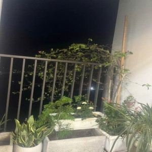 Ảnh nhà