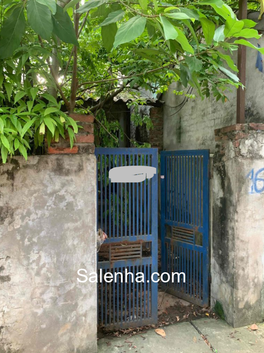 Ảnh nhà