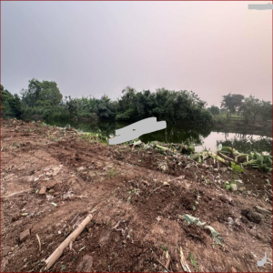 Ảnh nhà