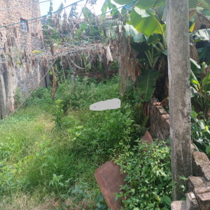 Ảnh nhà