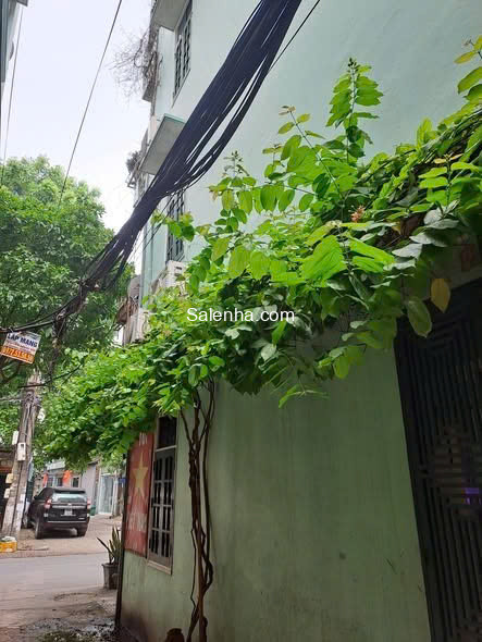 Ảnh nhà