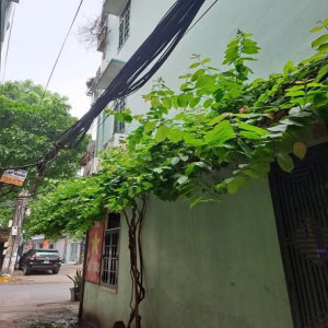 Ảnh nhà
