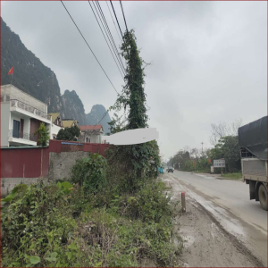 Ảnh nhà