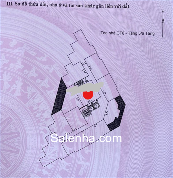 Ảnh nhà