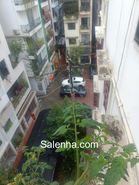 Ảnh nhà